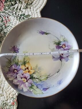 Hulschenleulher Plate Bavaria Red Poppies Plate Set Of 2